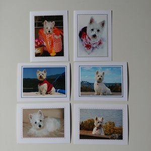 6 cute Westie Dog Greeting Cards NEW